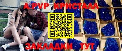 мдпв Кингисепп