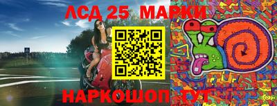 ПСИЛОЦИБИНОВЫЕ ГРИБЫ Кимры