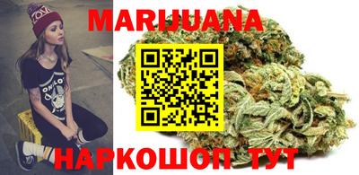сатива Коммунар