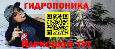 сатива Коммунар