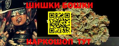 мдпв Кингисепп