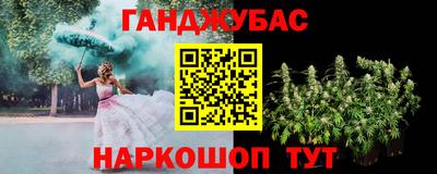 мдпв Кингисепп