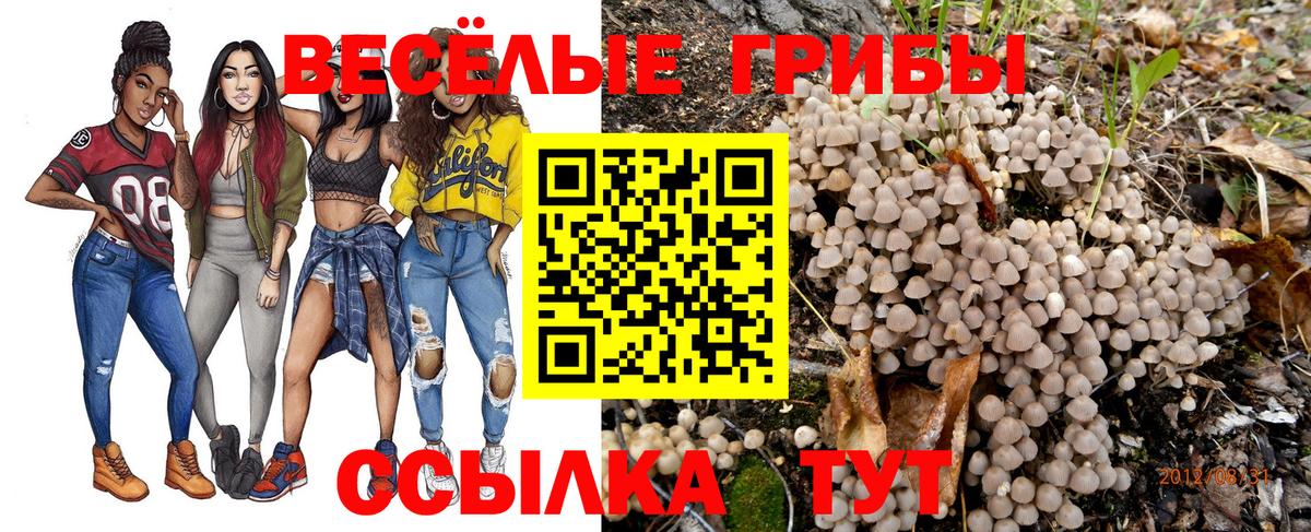 Галлюциногенные грибы Cubensis  Вход с VPN  Чебаркуль 